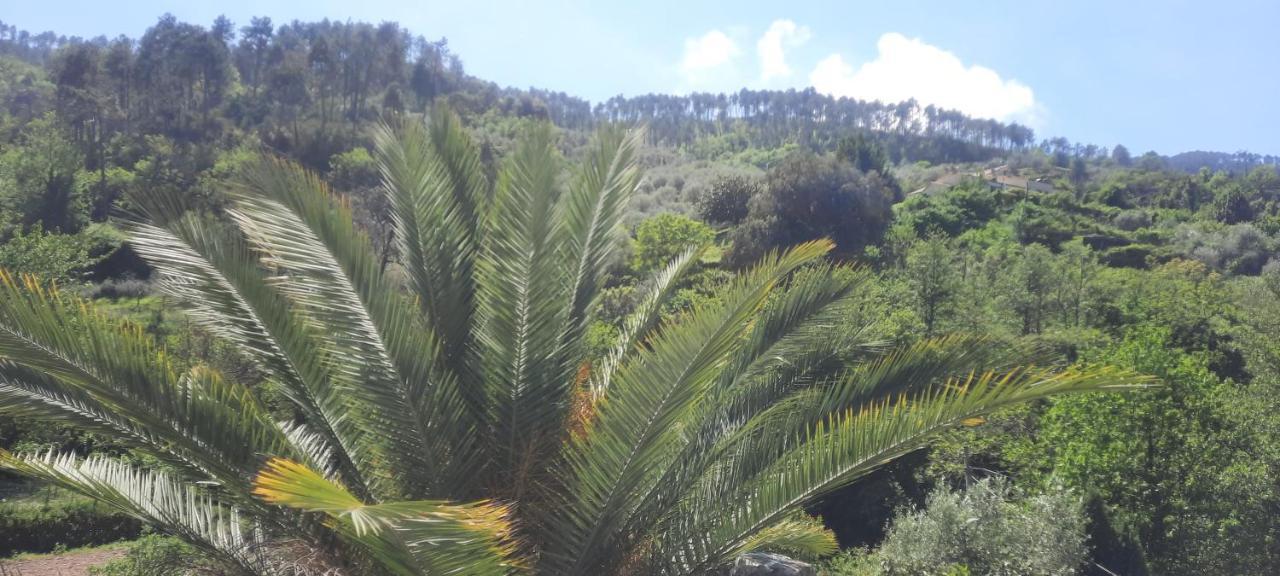 Vecchio Mulino Fontona Girasole Lägenhet Chiesanuova  Exteriör bild
