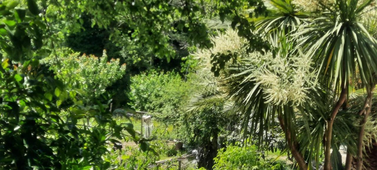 Vecchio Mulino Fontona Girasole Lägenhet Chiesanuova  Exteriör bild
